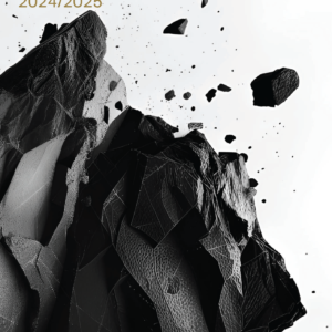 Precious Metals Investment Focus