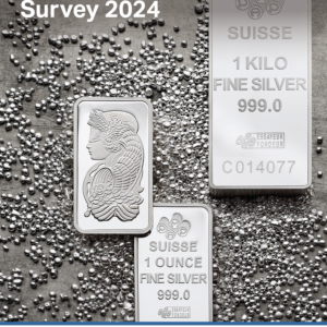 World Silver Survey