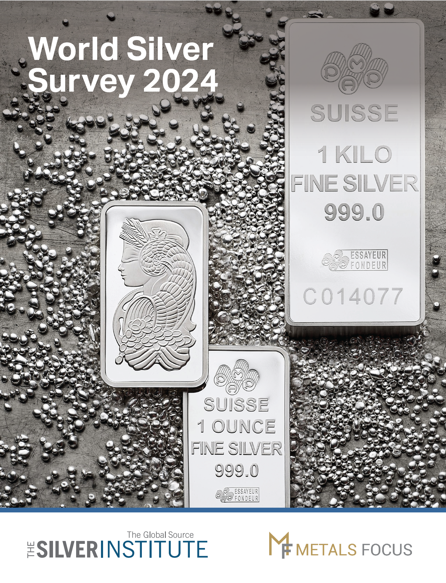 World Silver Survey