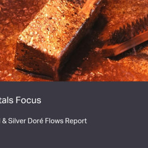 Gold & Silver Doré Flows Service