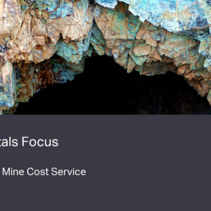 Gold Mine Cost Service