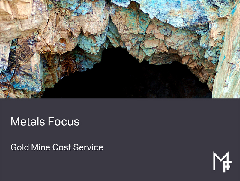Gold Mine Cost Service