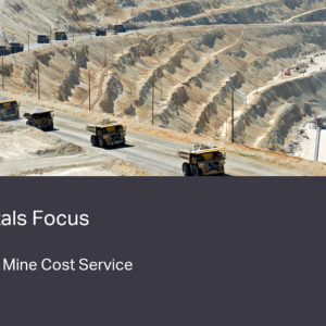 PGM Mine Cost Service