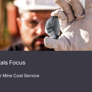 Silver Mine Cost Service