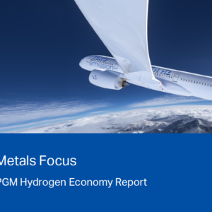 Hydrogen Economy Service
